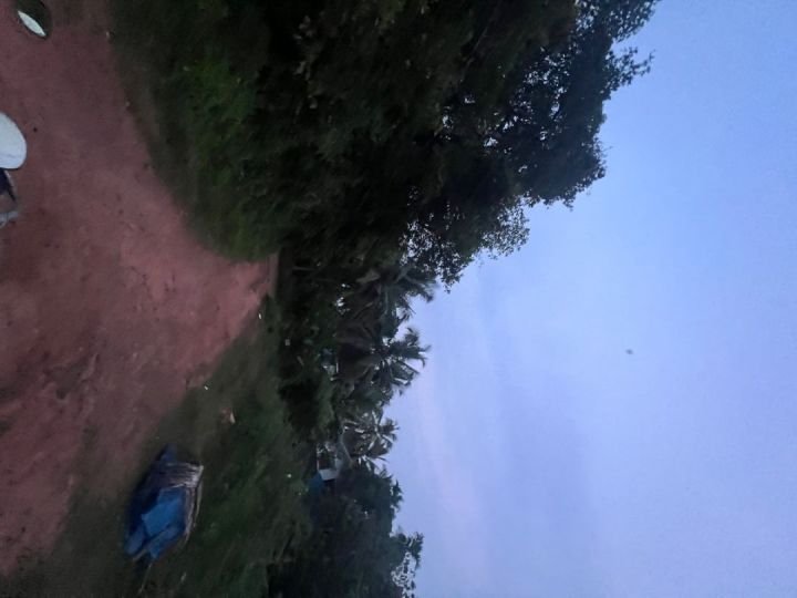 plot near vadakara cooperative hospital