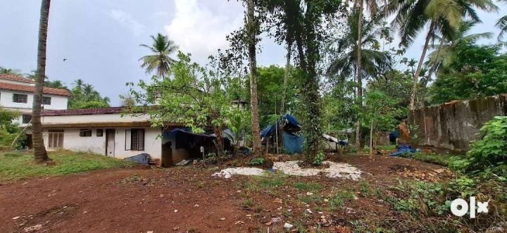 Road Side Property for sale, Thiruvambady, Mukkam, Kozhikode