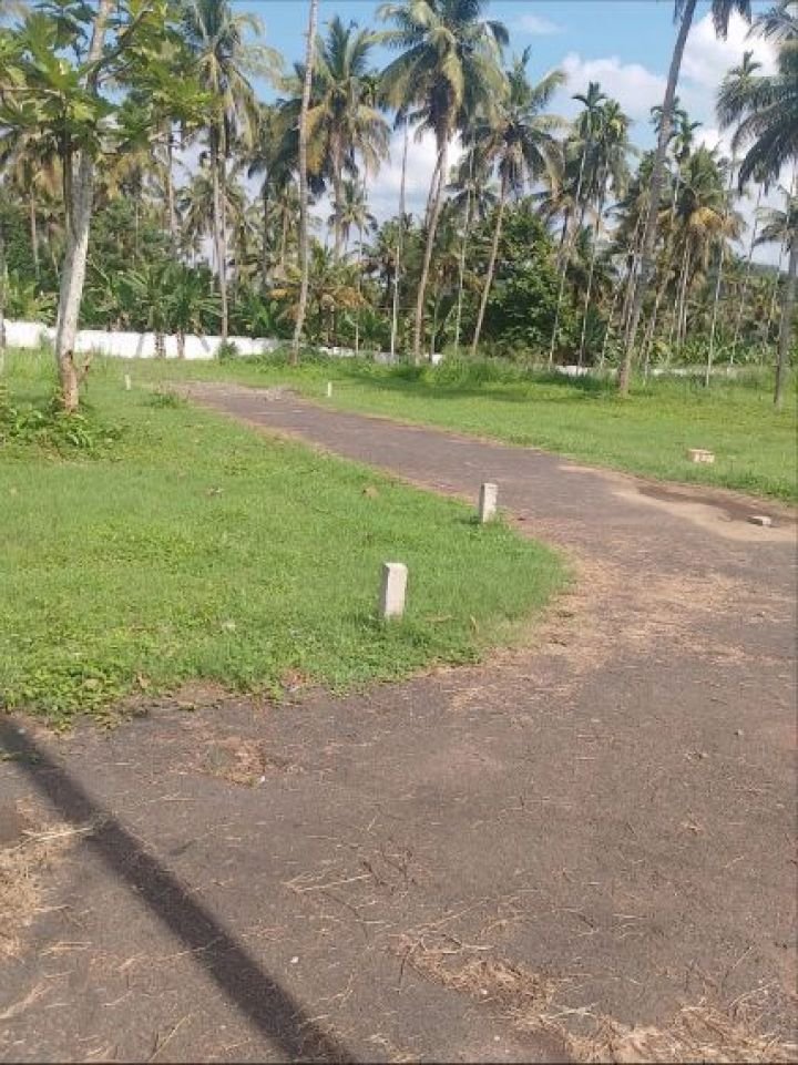 MANNUTHY – MUDIKKODE, HIGHWAY, THRISSUR | PLOTS FOR SALE