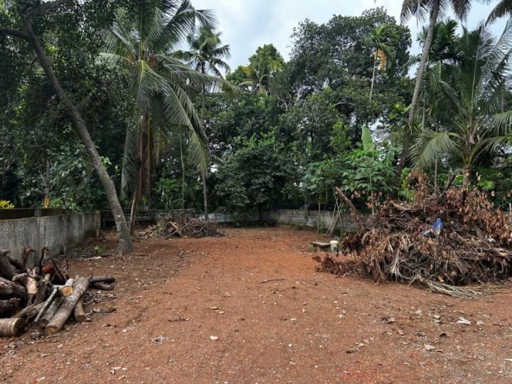 20 Cent Land for Sale in Aluva – 3, 6 & 10 Cent Options Available