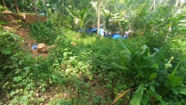 ? സ്ഥലം വിൽപ്പനയ്ക്ക് – കൊളമ്പലം, എടവണ്ണപ്പാറ