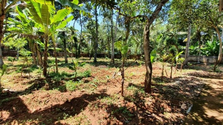 ​25 Cents Commercial Land for Rent/Lease near Vizhinjam Port & NH 66