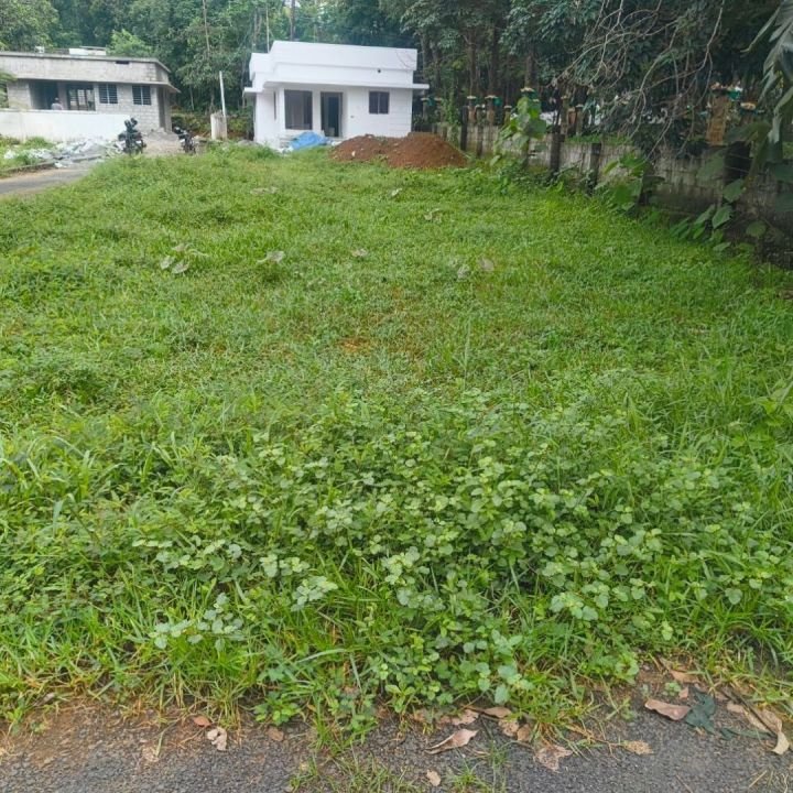 4 cent plot in meloor Chalakudy
