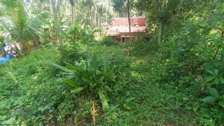 ? സ്ഥലം വിൽപ്പനയ്ക്ക് – കൊളമ്പലം, എടവണ്ണപ്പാറ