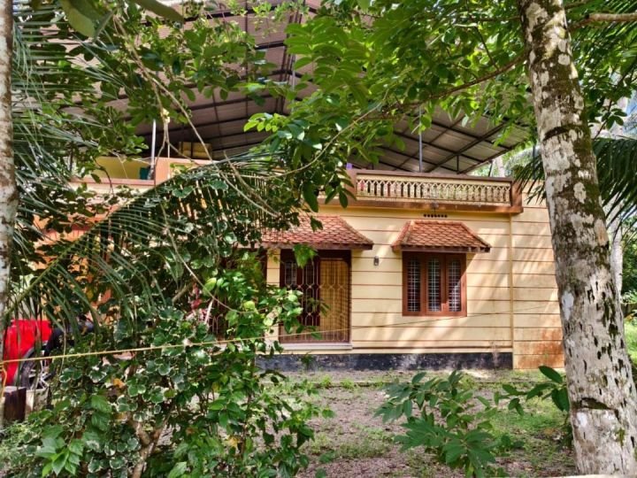 75 cents of plot for sale in Cheppad