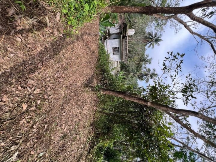 20 Cent Housing Plot in Thadikkadavu