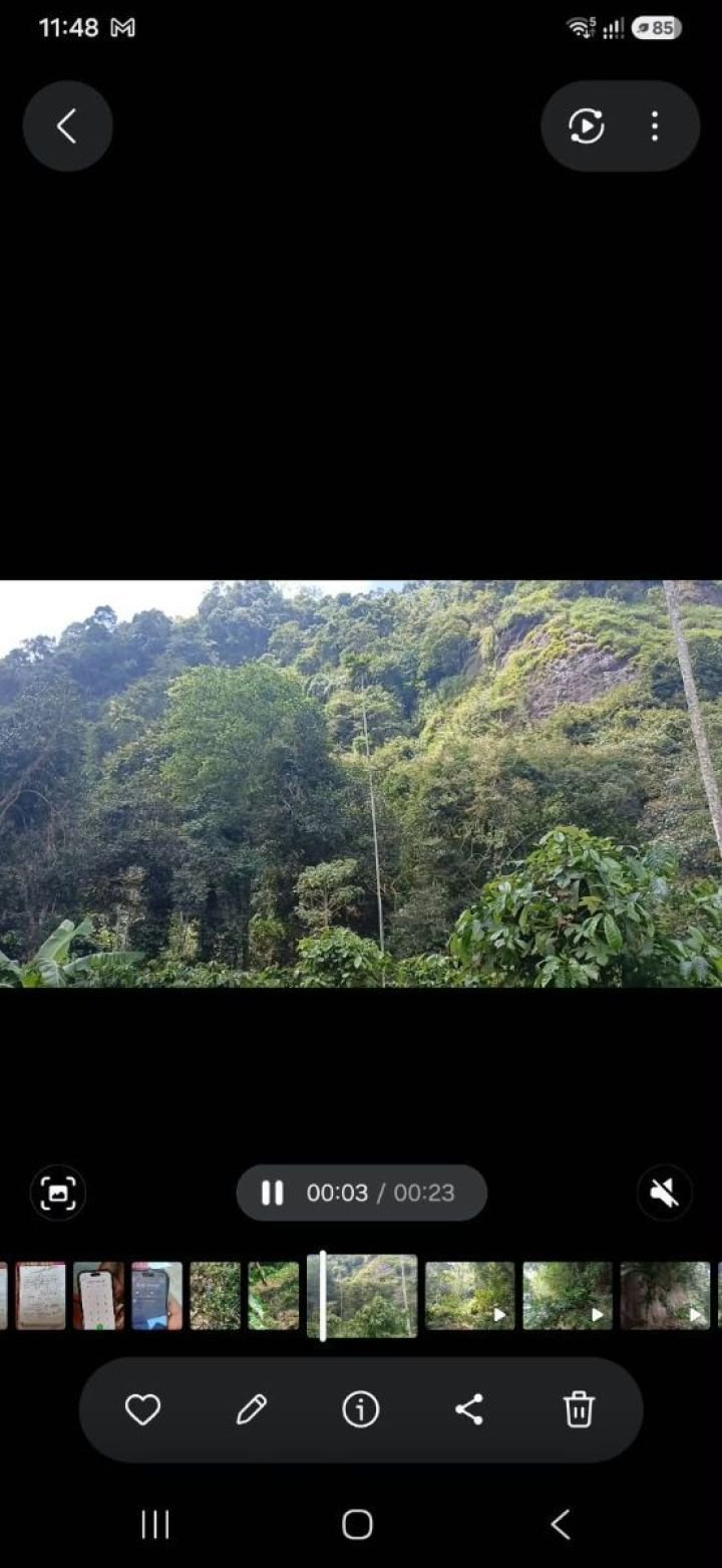 Land ideal for resorts in Kakkadam poyil
