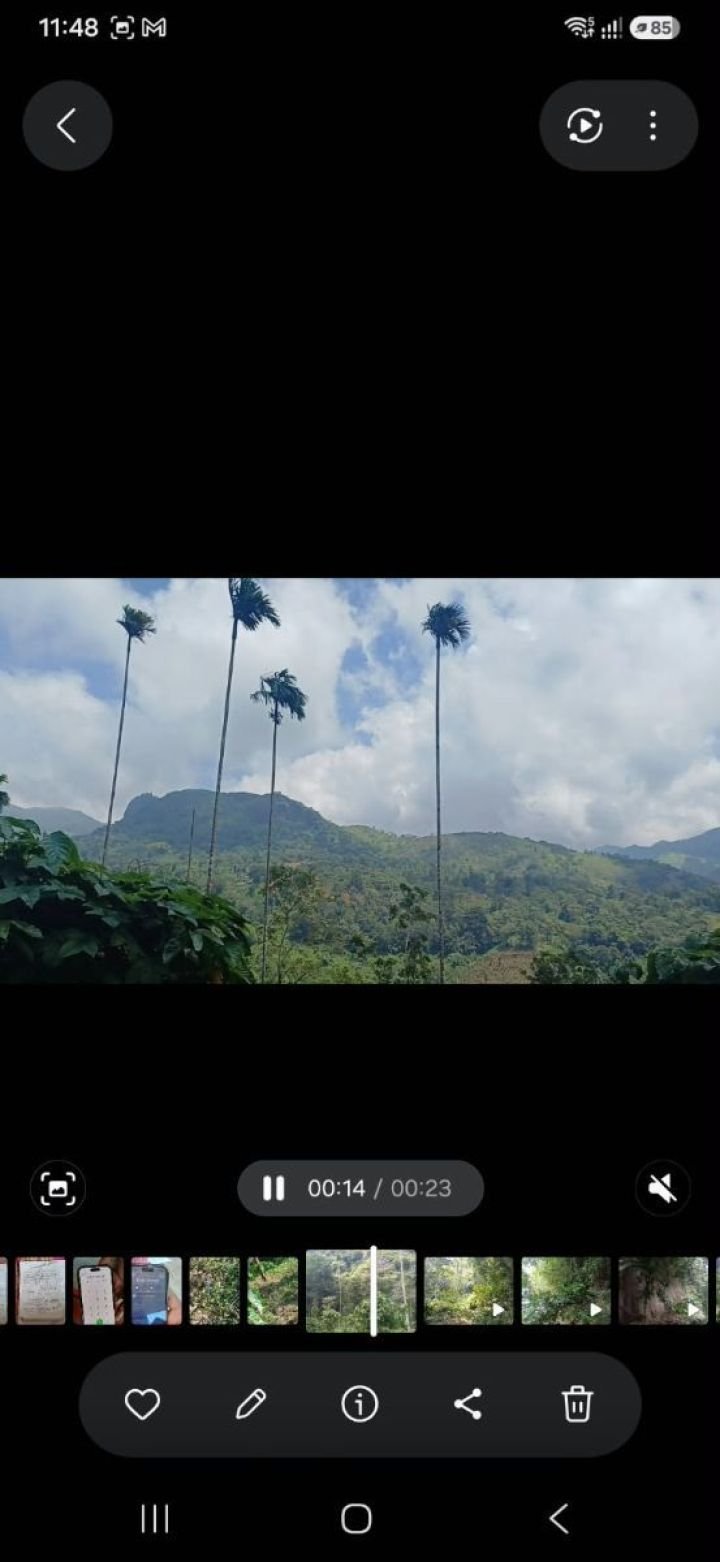 Land ideal for resorts in Kakkadam poyil