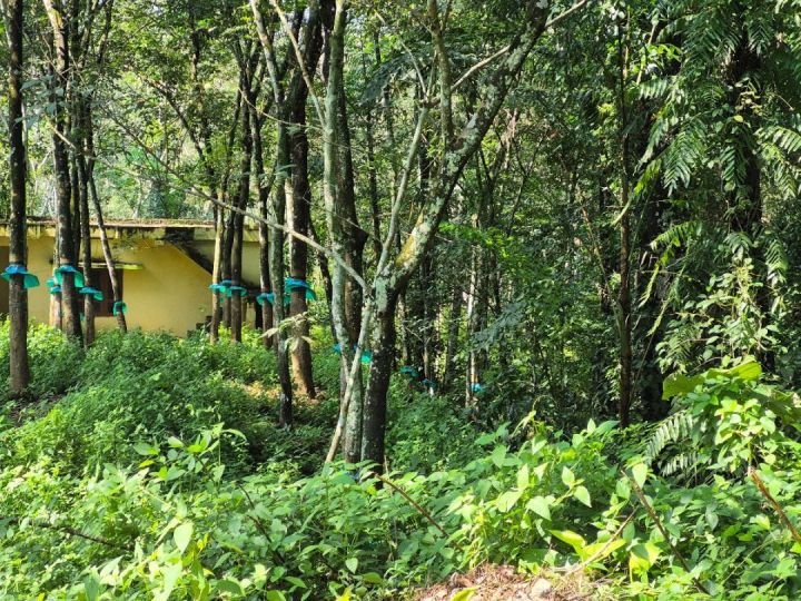 Land with a house for sale....