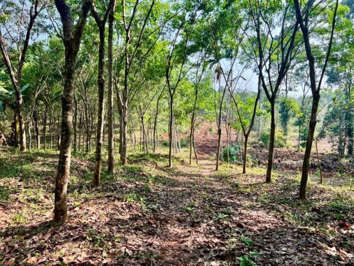 Residential land for sale