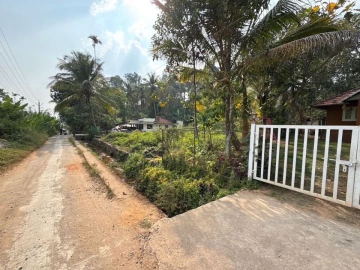 HomeStay running business farm house at Maniyankode Kalpetta