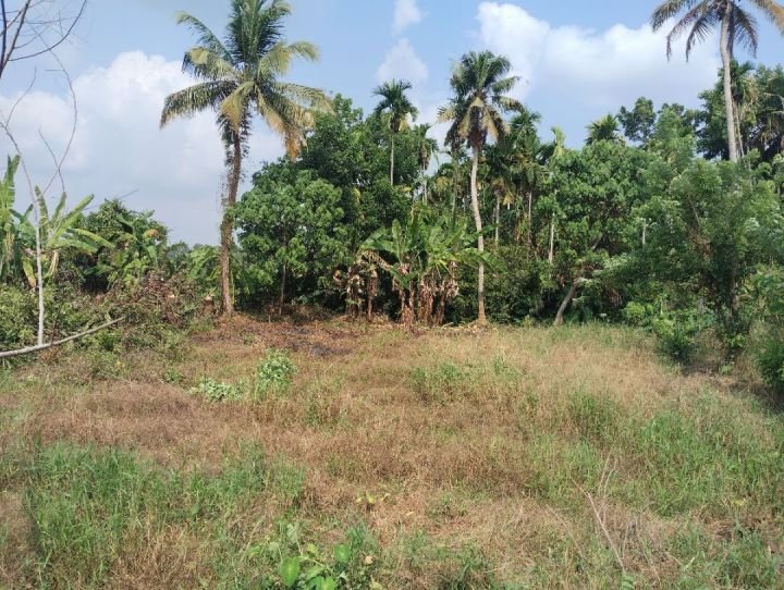 വീട് വെക്കാൻ പറ്റിയ സ്ഥലം