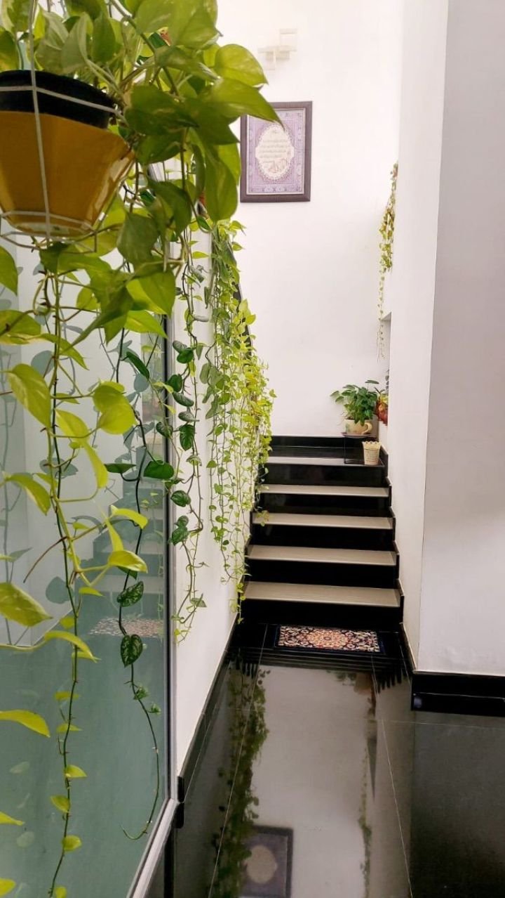 A contemporary luxury home in the heart of Cochi designed around light, space & nature