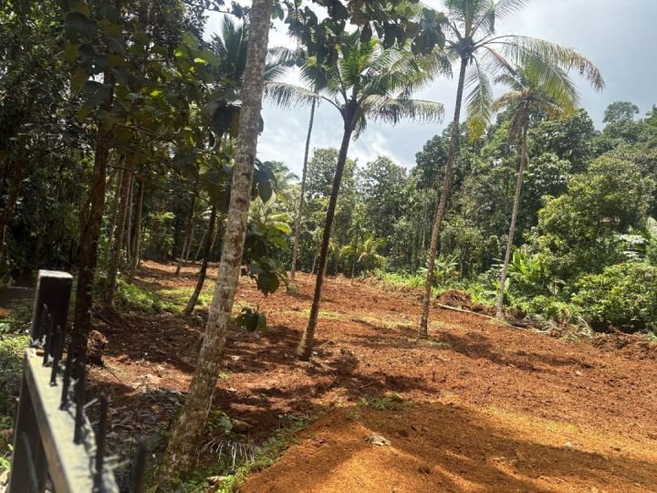 Flat plot with great views