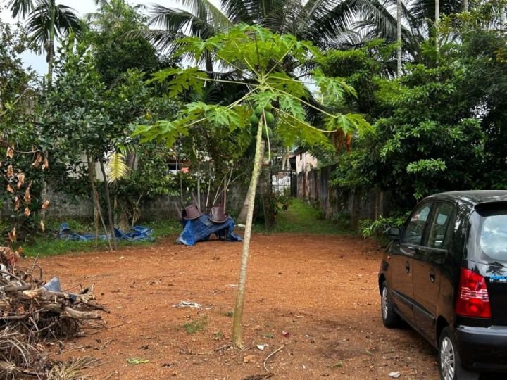 20 Cent Land for Sale in Aluva – 3, 6 & 10 Cent Options Available