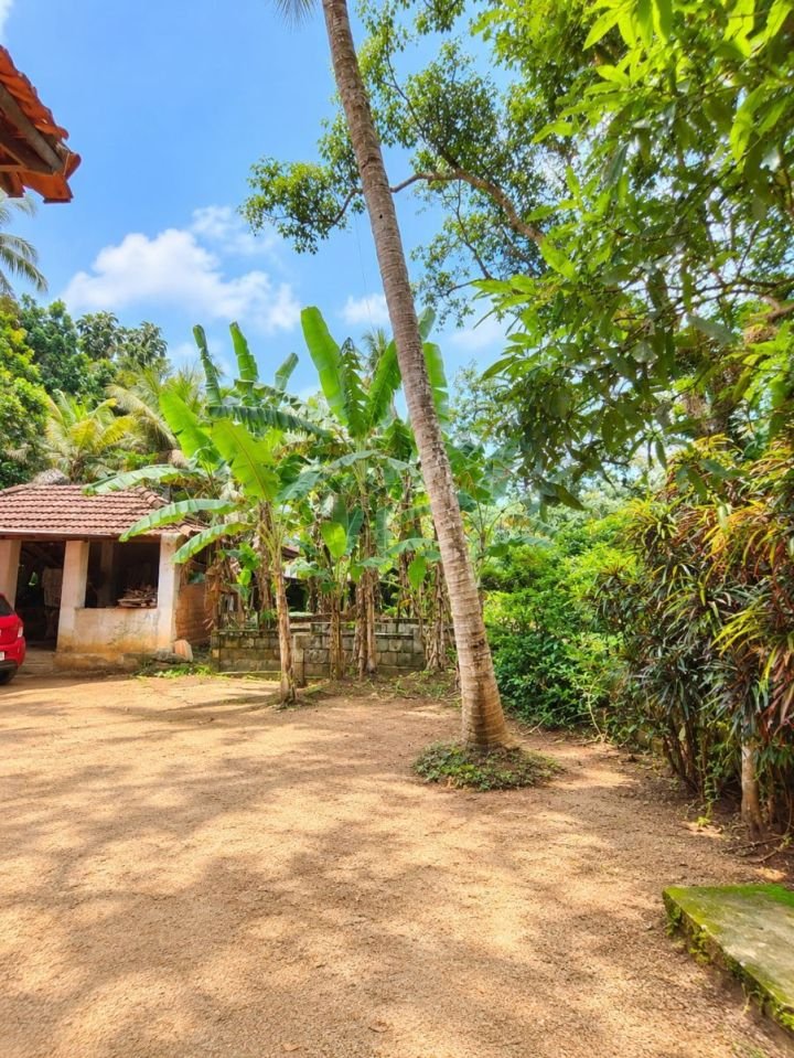 Great opportunity to buy a large piece of land with a lot of potential! .