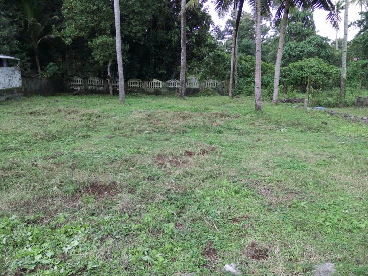 11 cent land in chengannur idanadu