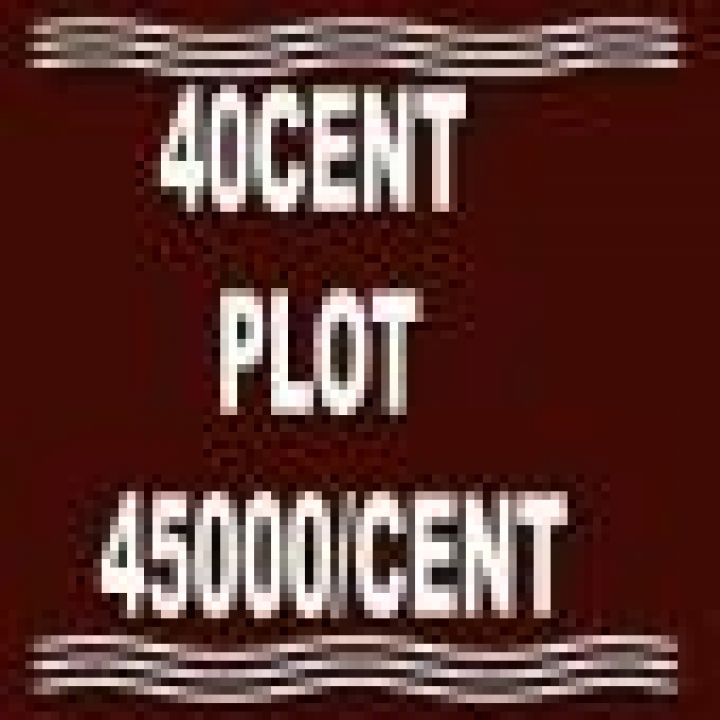 40 Cent plot(slopped area) for sale at koleri