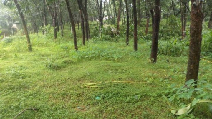 23 cents of property for sale near Kothamangalam , Ernakulam