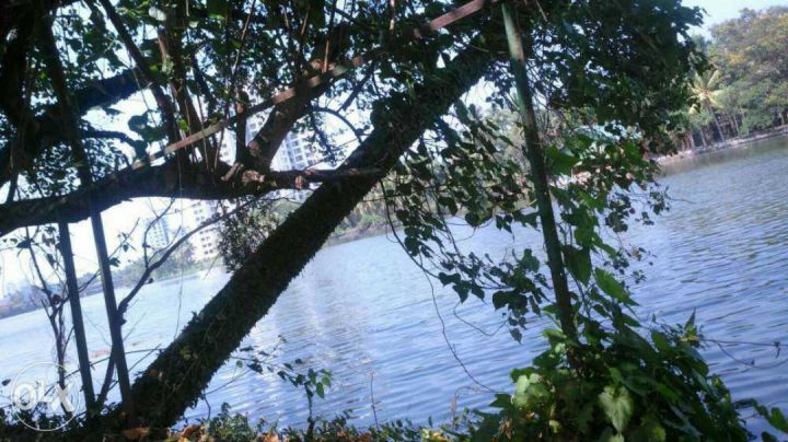 Waterfront land Tripunithura Gandhi square