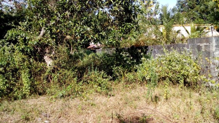 Land for sale at muhammah in chertala