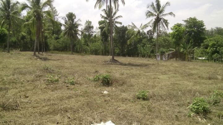 114 cents for house plots , near Pulpally town