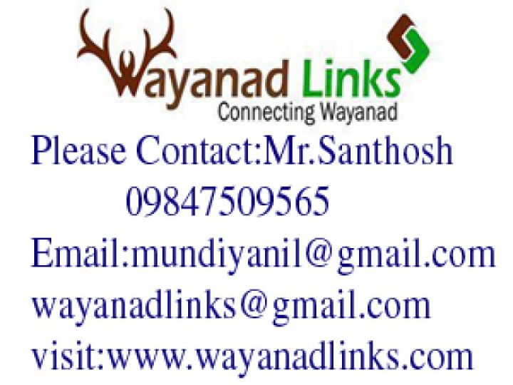Give wings to your investments in wayanad-wayanadlinks
