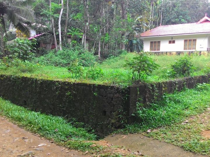 9 CENT House Plot in PALA