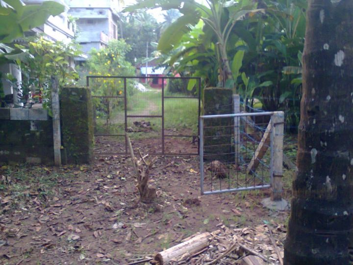 9 cent plot at Varandarapilly, chimini dam road, Thrissur
