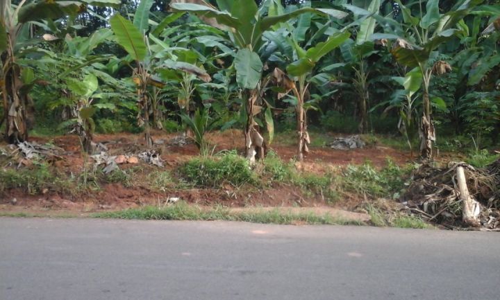 10 cent road frontage plot at kottarakar