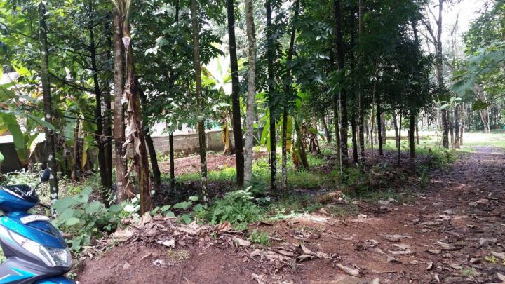 House Plot-Kunnackal 2Km from NH-49 5.25 cents /1.4 per cent