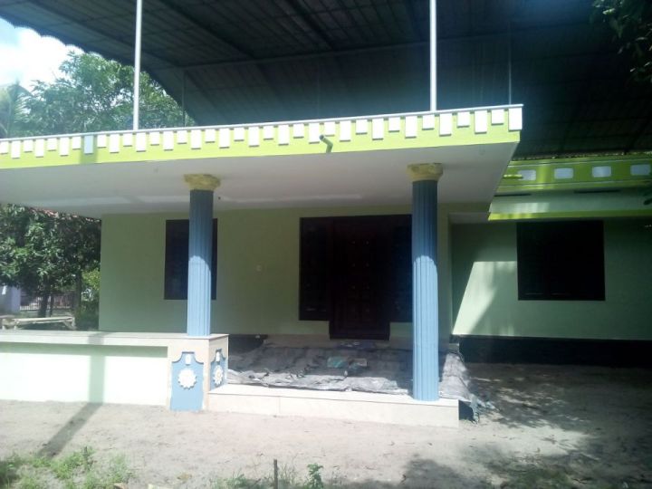 three new houses for sale