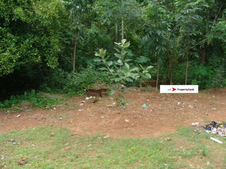 4 cents of residential land at Thopumpady