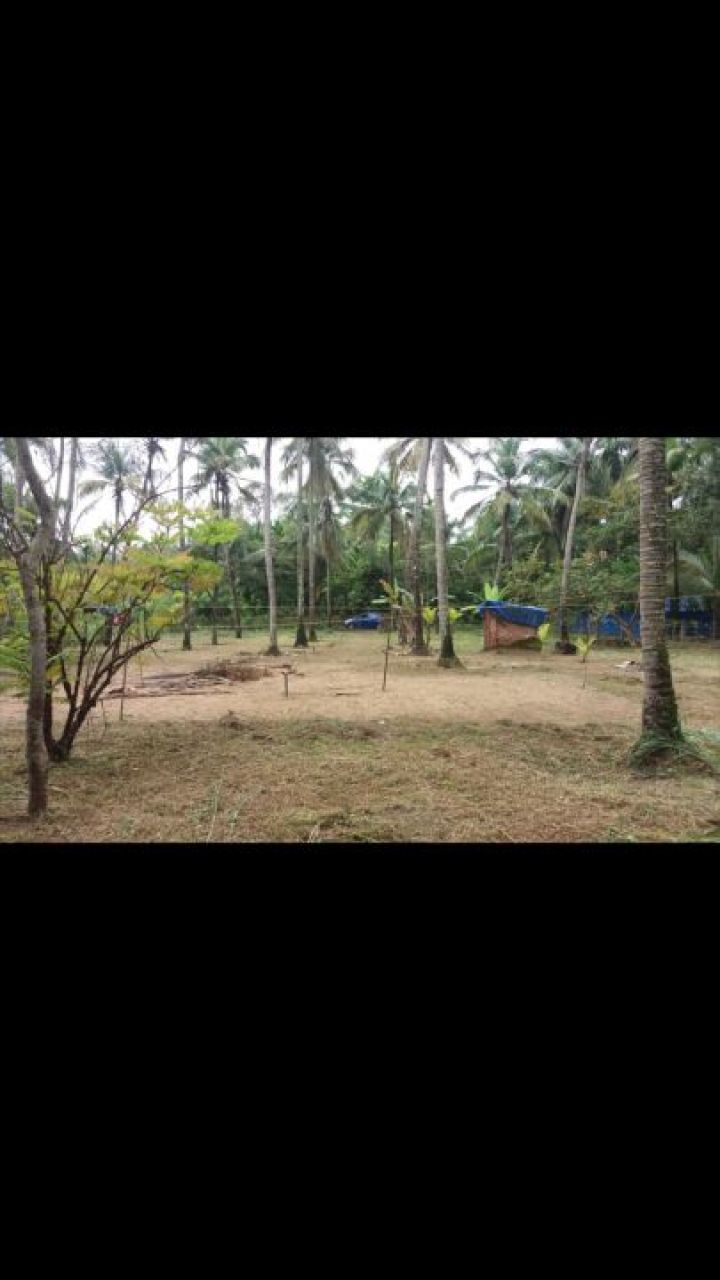 31 cent of land near Anjangal centre..this property belongs to A.C.Santosh sole owner of property .