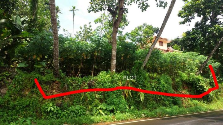 75 cents of Prime land in Kodungoor - Pala road ( 1.5 lak per cent)