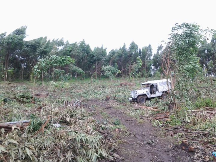 5.45 acre land best for resort, farmhouse, engineering college in Munnar