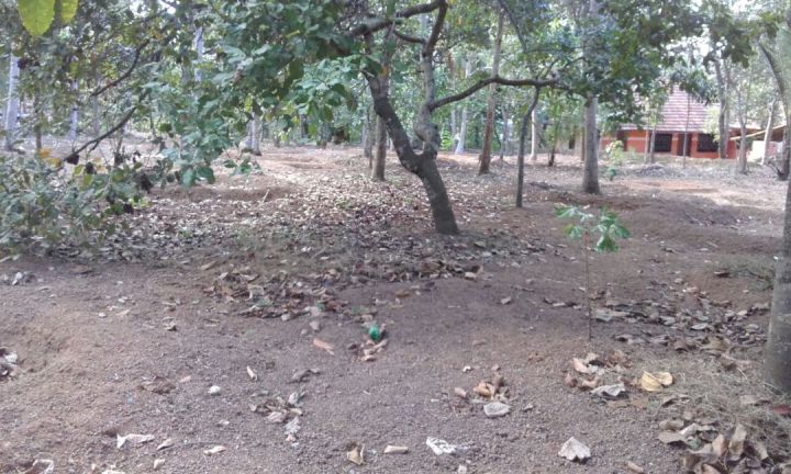 Plot and individual house For sale immediatly