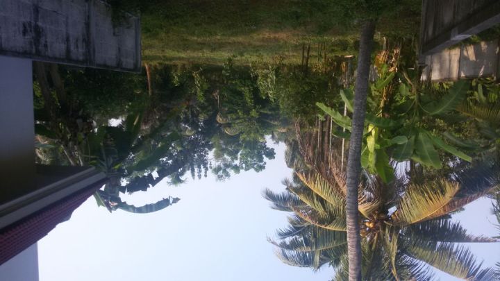 House plots at Chalakudy (300 mtrs from TRICHUR-COCHIN NH47 (Muringoor signal)
