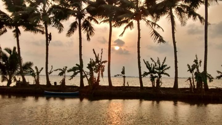 Unique Kerala Backwater Property for Sale!