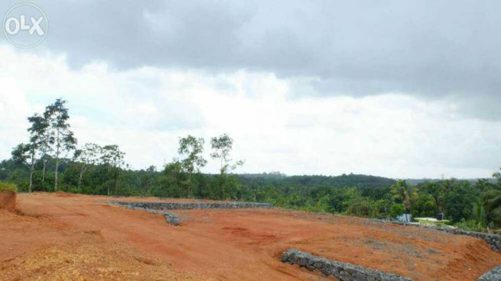 HOUSE PLOTS NEAR SMARTCITY / INFOPARK NEAR CHOONDY {PUTHENCRUZ} @ 225000/CENT