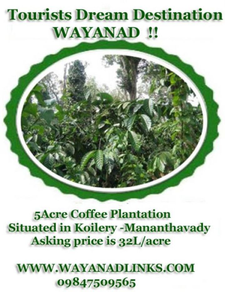 Tourists Dream Destination Wayanad