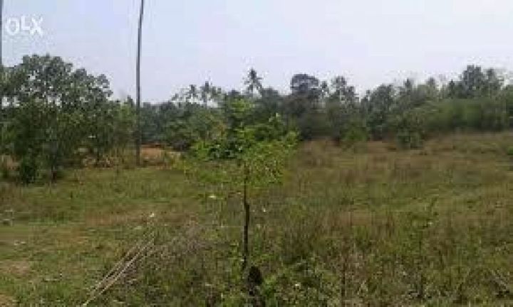 17 cents of plot in kottarakkara, kollam district
