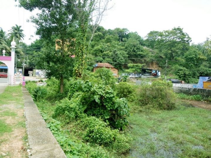 32 cents ,suitable for constructing shopping complex ,villas, houses etc. By the side of MC.Road.