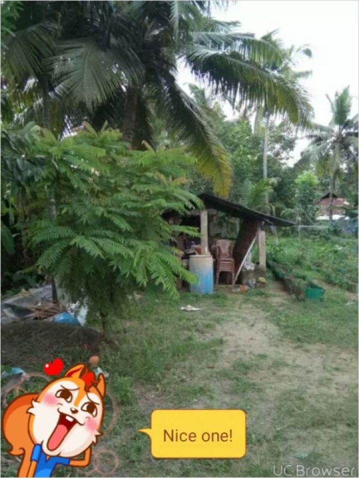 10 cent house plot Near vyttila