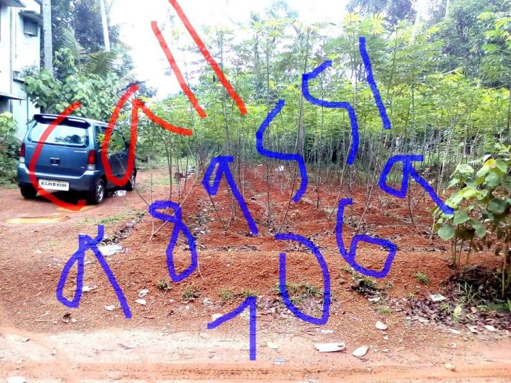 5 CENTS NEAR ATTINGAL FOR TEN LAKHS
