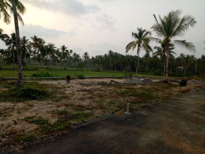 4,5 cents of house plotes in Thripunithura - Kureekad