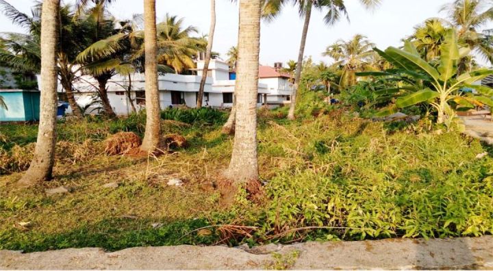 5 cents of land in Thrippunithura-Kannankulangara