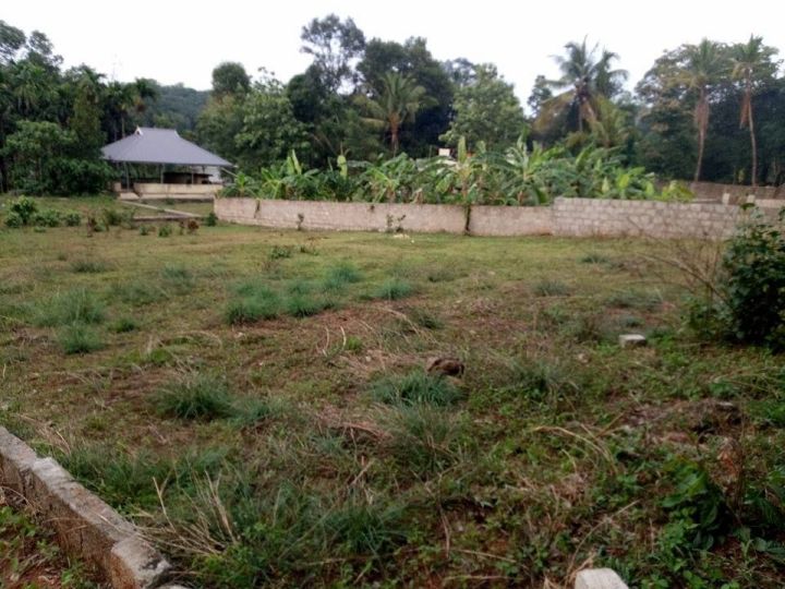 7 cents of land in Thiruvankulam-Vellikulam