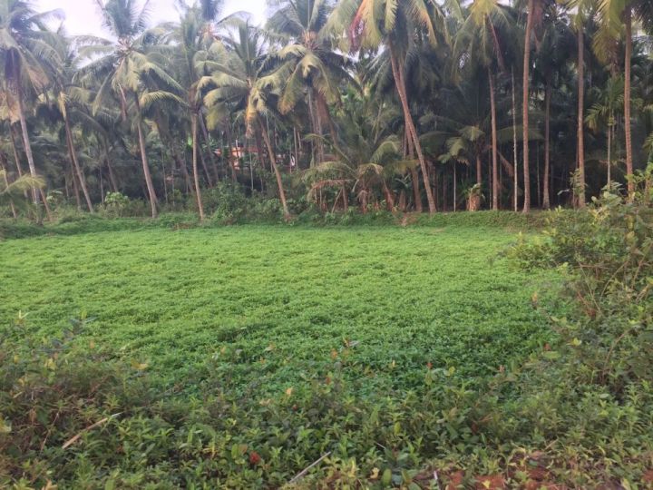 1 Acre land for sale in Shiriya, Kasargod
