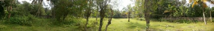 86 cent  Land for Sale in Muhamma,Alappuzha